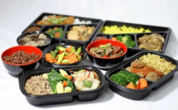 Tingkat Food Delivery Decoded: Simplifying Your Mealtime